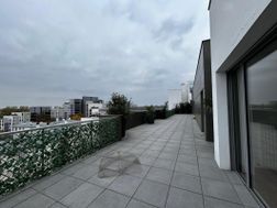 Photo n°5
