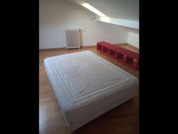 Photo n°6