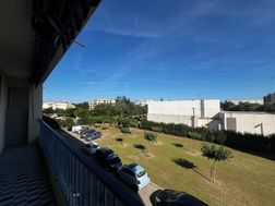 Photo n°6