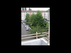 Photo n°2