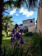 Photo n°2