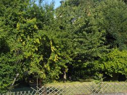 Photo n°6