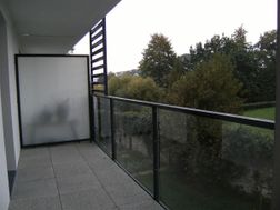 Photo n°6
