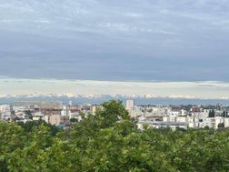 Photo n°6