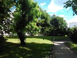Photo n°8