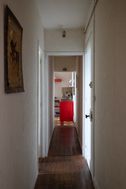 Photo n°6