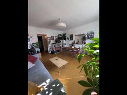 Photo n°6