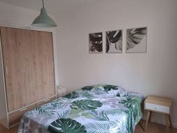 Photo n°5