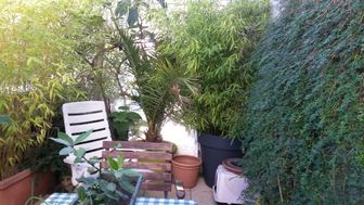 Photo n°1