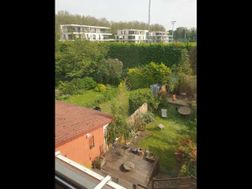 Photo n°3