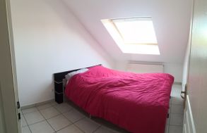 Photo n°1