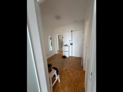 Photo n°2