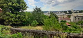 Photo n°4