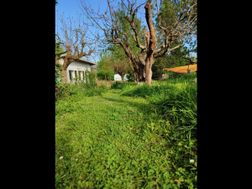 Photo n°15