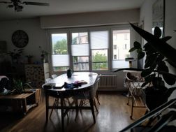 Photo n°1