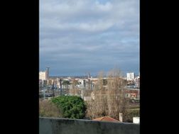 Photo n°6
