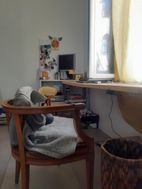 Photo n°3