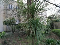 Photo n°3