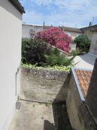 Photo n°6