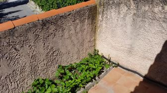 Photo n°4