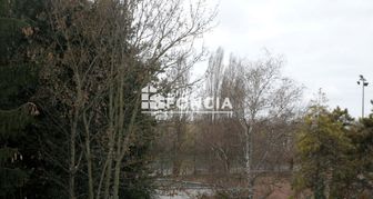 Photo n°6