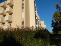 Photo n°2