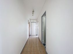 Photo n°3