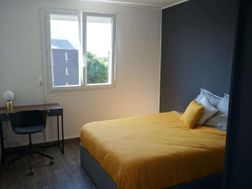 Photo n°4