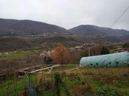 Photo n°16