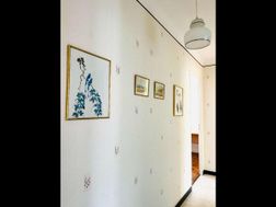 Photo n°6