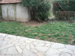 Photo n°4