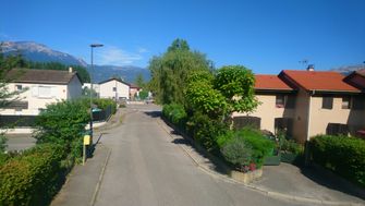 Photo n°7