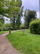 Photo n°4