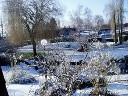 Photo n°4