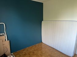 Photo n°4