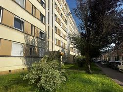 Photo n°7