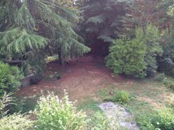 Photo n°5