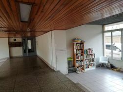 Photo n°14