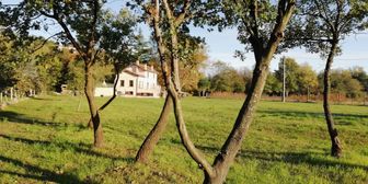 Photo n°4