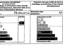 Photo n°6