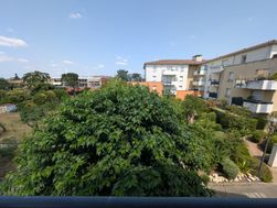 Photo n°6