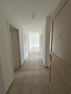 Photo n°4