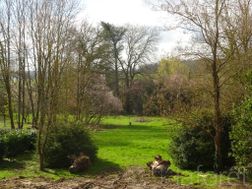 Photo n°4