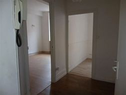 Photo n°4