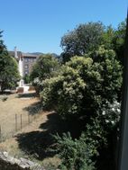 Photo n°6
