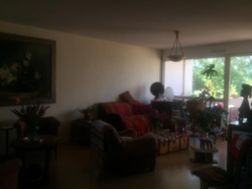 Photo n°1