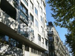 Photo n°6