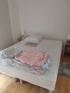 Photo n°5