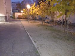 Photo n°7