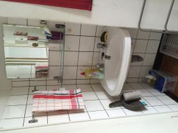 Photo n°1